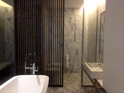 Nassim Park Residences (D10), Condominium #535594441
